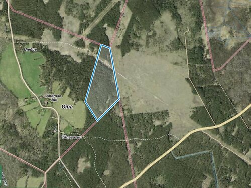 Muhu vald Oina, 12.55 ha