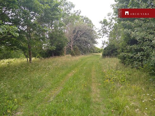 Saaremaa vald Ohessaare, 1.28 ha