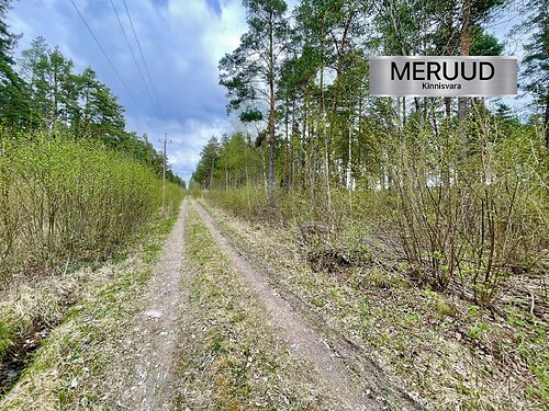 Saaremaa vald Parila, 2.9 ha