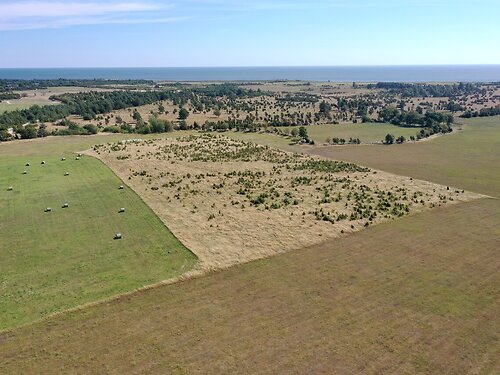 Saaremaa vald Suure-Rootsi, 2.81 ha
