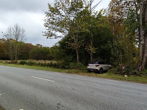 Saaremaa vald Saue-Putla, 1.51 ha