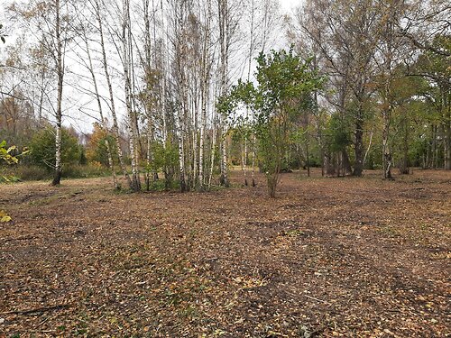 Saaremaa vald Saareküla, 2.13 ha