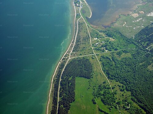 Saaremaa vald Sääre, 1.42 ha