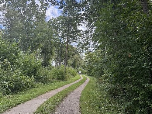 Saaremaa vald Mändjala, 8053 m²