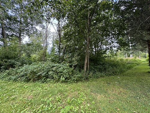 Saaremaa vald Mändjala, 8107 m²