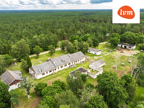 Saaremaa vald Austla, 1.55 ha