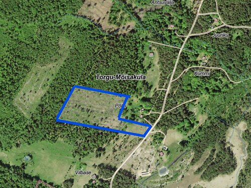 Saaremaa vald Torgu-Mõisaküla, 3.66 ha