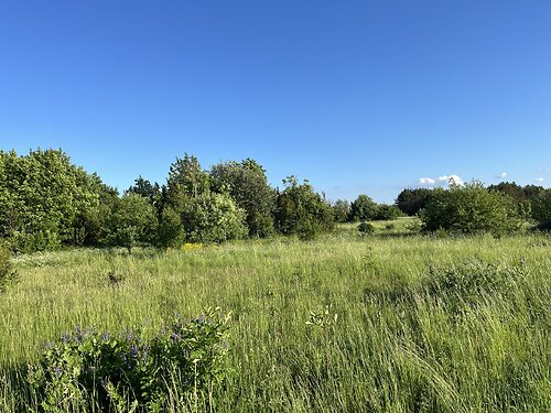 Saaremaa vald Laimjala, 1.72 ha