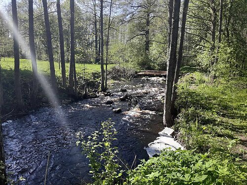 Saaremaa vald Laimjala, 4 ha