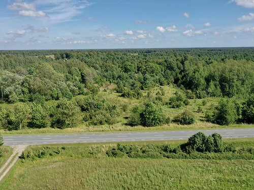 Saaremaa vald Aste küla, 3.84 ha