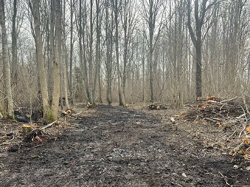 Saaremaa vald Pihtla, 1.1 ha