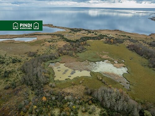 Saaremaa vald Kungla, 6.89 ha