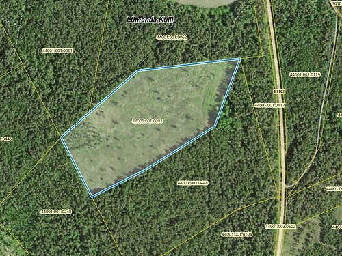 Saaremaa vald Lümanda-Kulli, 7.43 ha