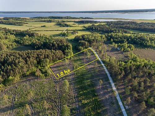 Muhu vald Nurme, 1.01 ha