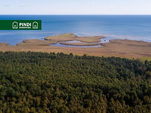 Saaremaa vald Kaimri, 47.3 ha
