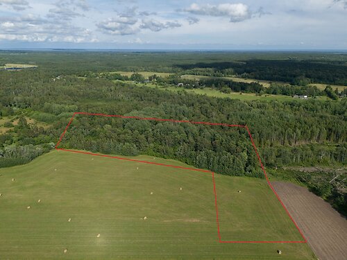 Muhu vald Nurme, 3.35 ha