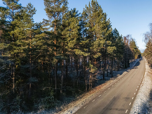 Muhu vald Rinsi, 1.26 ha