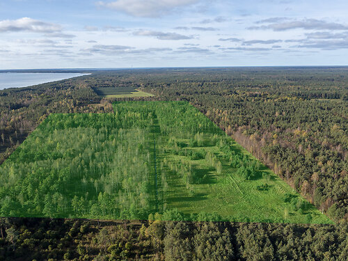 Saaremaa vald Kaarma-Kirikuküla, 5098 m²