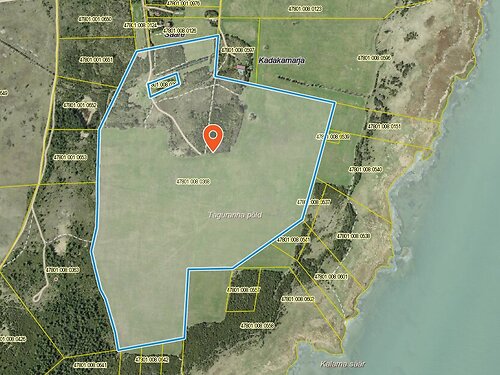 Muhu vald Võiküla, 13.51 ha