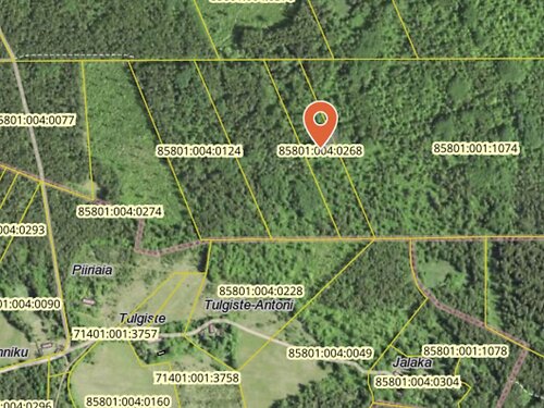 Saaremaa vald Valjala-Nurme, 4.47 ha