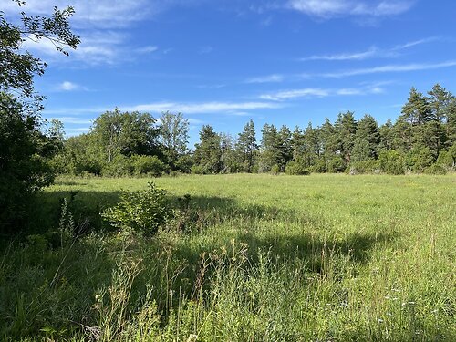 Saaremaa vald Vanamõisa, 1.2 ha