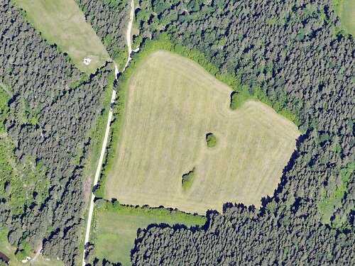 Saaremaa vald Pihtla, 4.07 ha