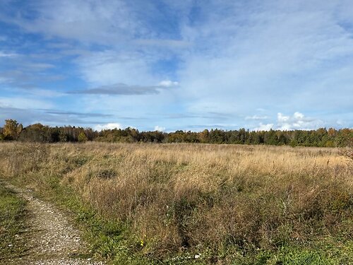 Saaremaa vald Pammana, 2.57 ha