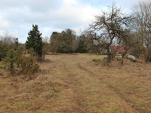 Saaremaa vald Valjala-Nurme, 1.01 ha