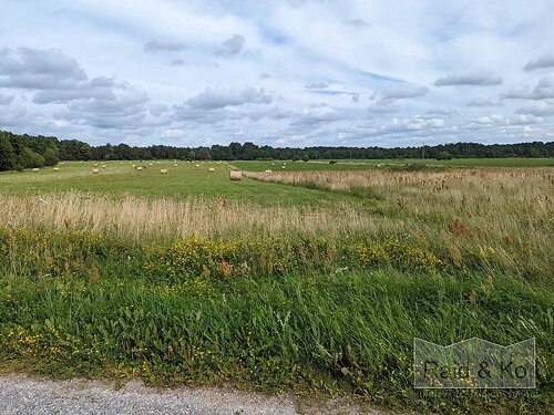 Saaremaa vald Laugu, 5025 m²