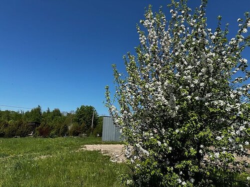 Saaremaa vald Kaarma-Kungla 2, 1835 m²