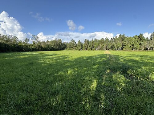 Muhu vald Pärase, 9771 m²