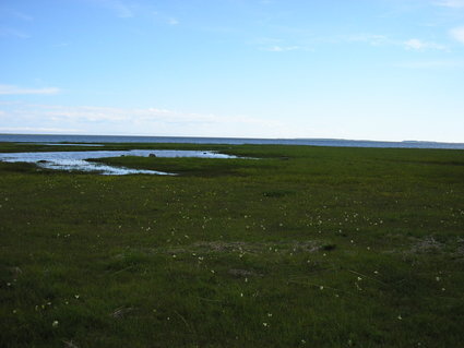 Muhu vald Rässa, 12.47 ha