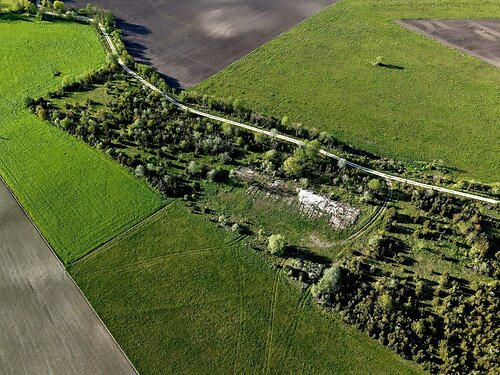 Saaremaa vald Ridala, 1.39 ha