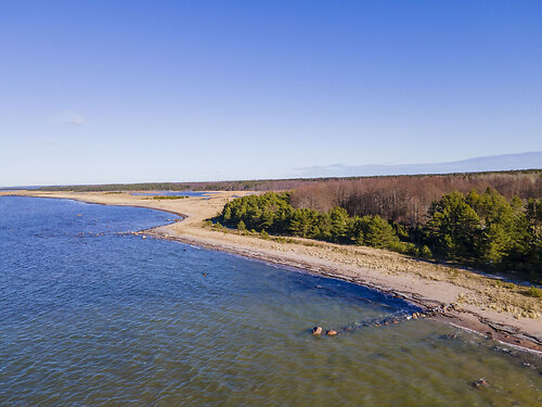 Saaremaa vald Murika, 9525 m²
