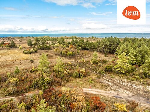 Muhu vald Igaküla, 2.92 ha