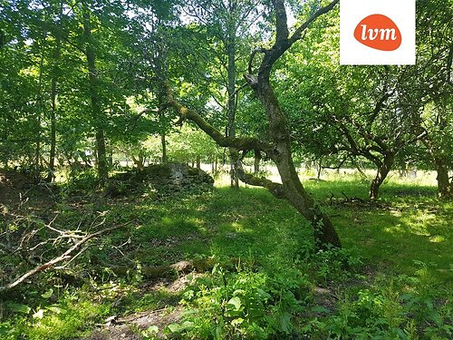 Saaremaa vald Vedruka, 1.76 ha