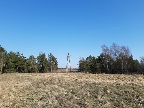 Saaremaa vald Karala, 1.01 ha