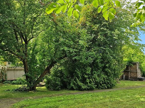 Saaremaa vald Kuressaare linn 8, 852 m²