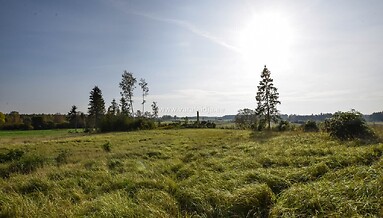Müüa maatükk, elamumaa, Looallika, Lauküla, 12 000 €