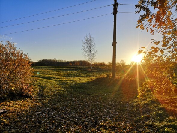 Müüa maatükk, maatulundusmaa Sundimetsa, Saaremaa vald, Saaremaa
