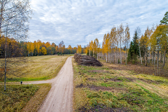 Müüa muu KalmeUderna tee, Pääsukese, Kalme, Elva vald, Tartumaa