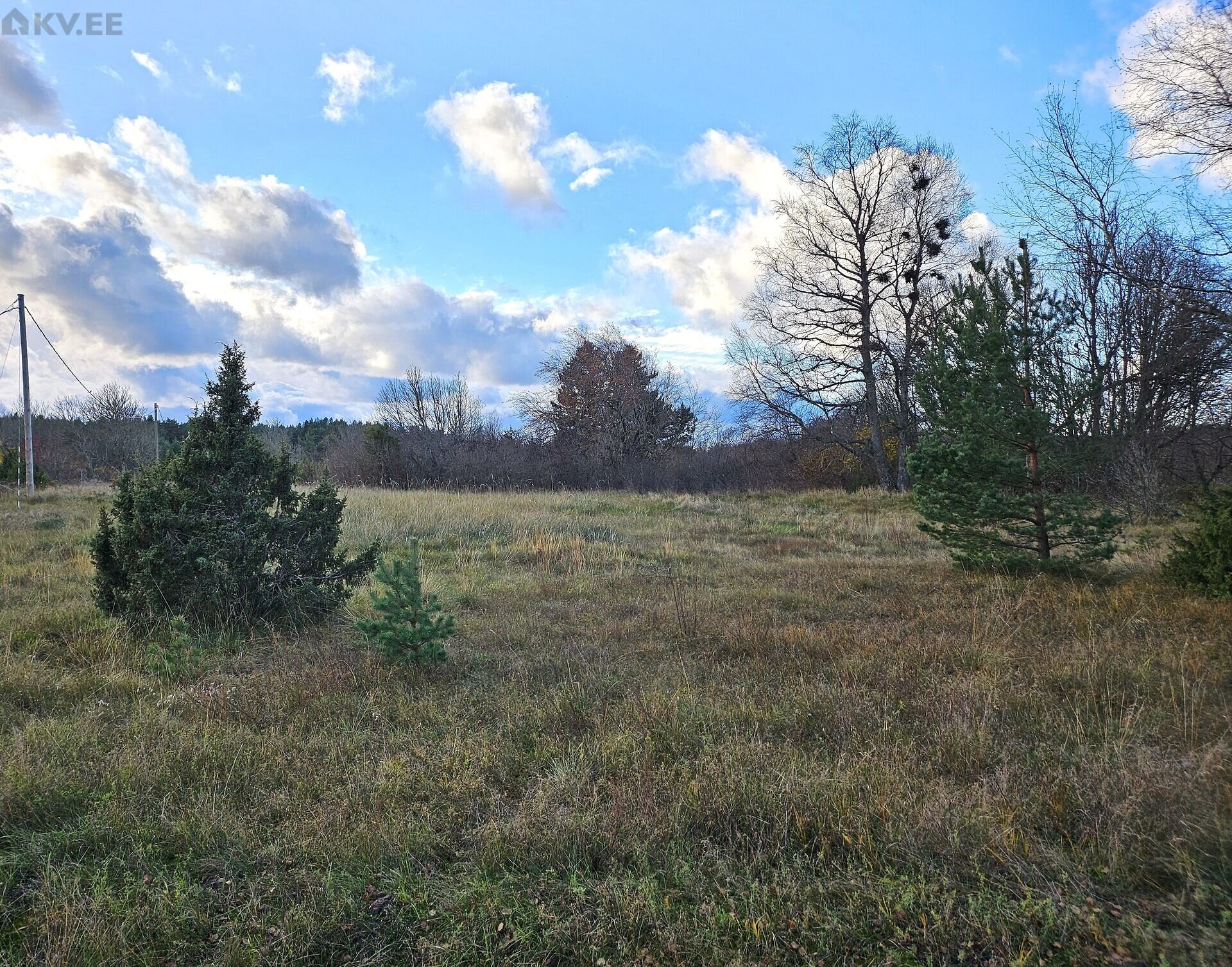 Müüa maatükk, maatulundusmaa