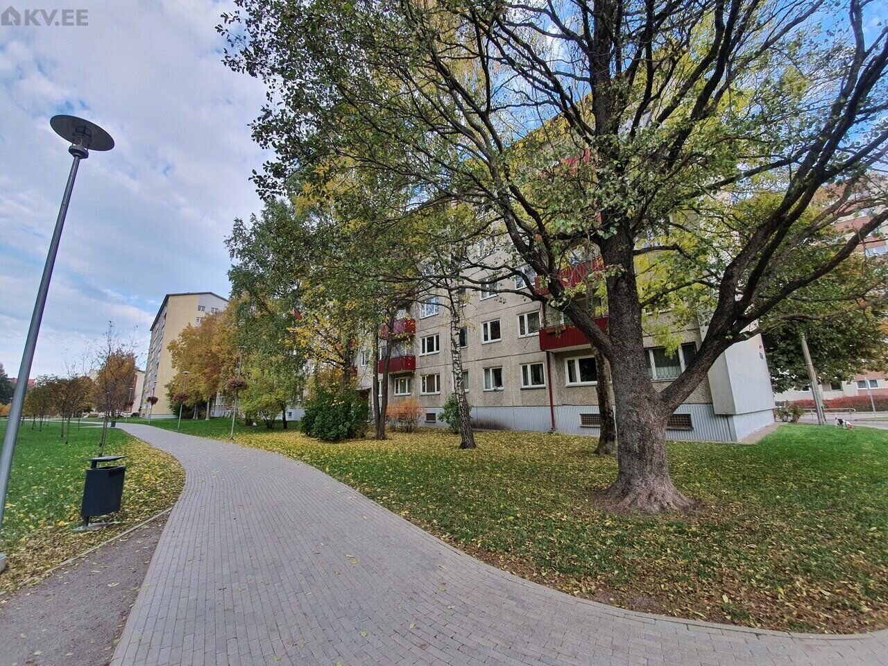 WINDOWS OVERLOOKING THE POND AND THE PARK! FREE!